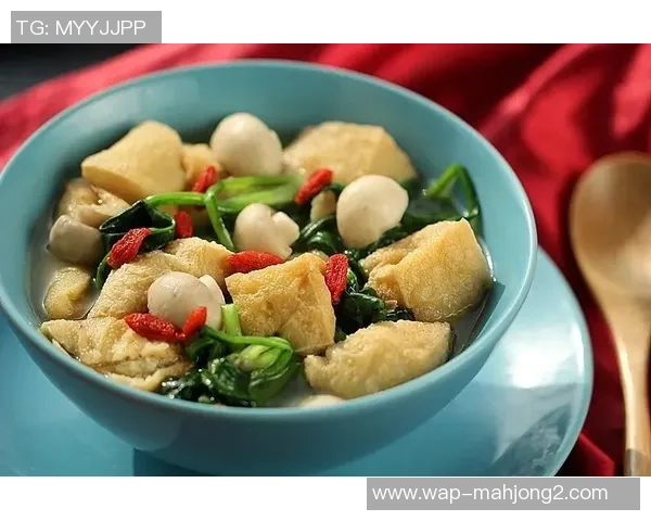 杨伟独家分享DOTA2游戏心得与技巧提升之道 杨伟独家分享DOTA2游戏心得与技巧提升之道